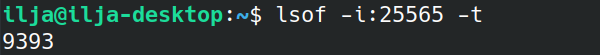 The lsof command outputs the server’s PID